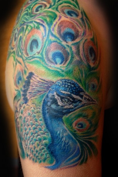 Anitaecraftygirl Peacock Tattoo